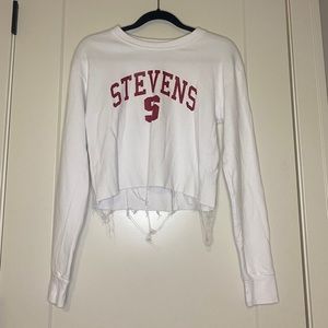 Stevens Insitute of Technology long sleeve white crop top